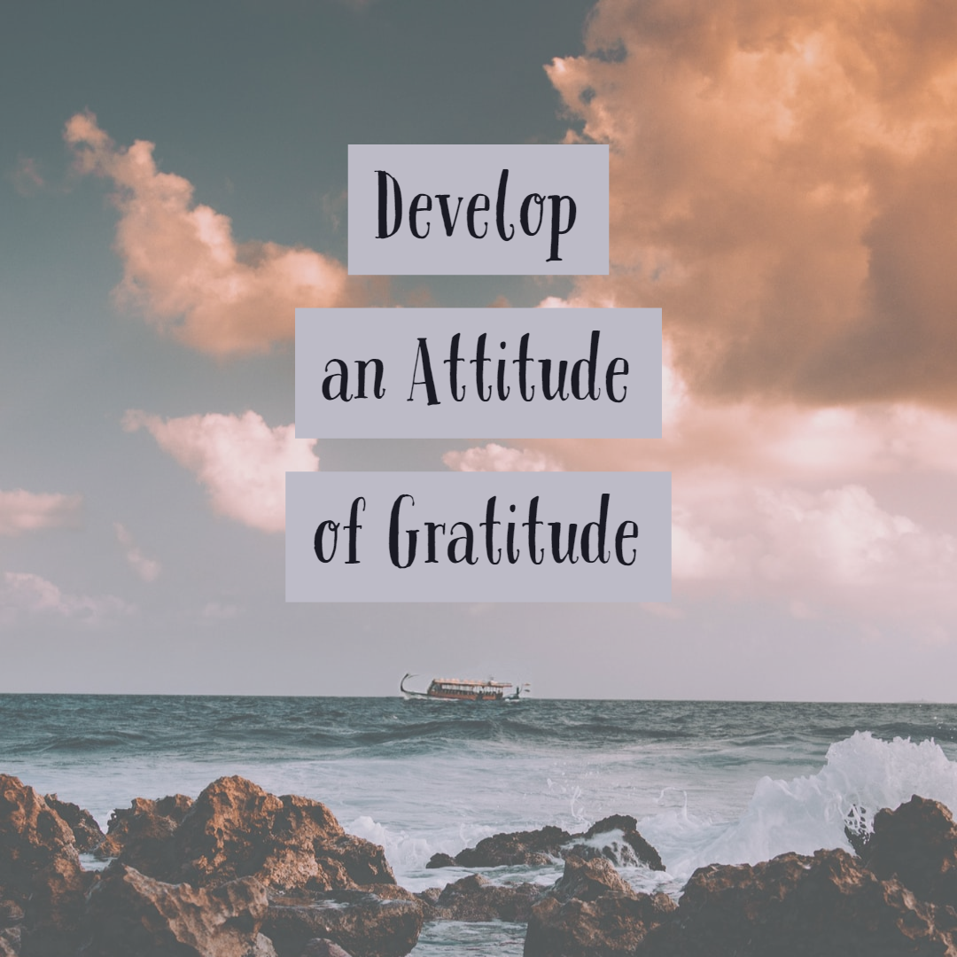 Develop An Attitude Of Gratitude | Jane Wilkens Michael